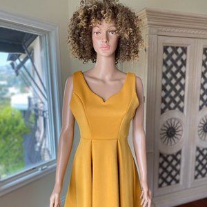 Mustard Yellow Dress